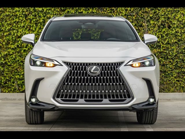 2025 Lexus NX 350 Premium