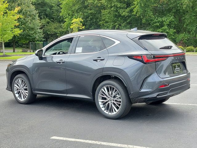 2025 Lexus NX 350 Premium