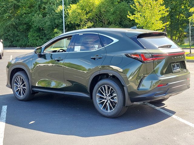 2025 Lexus NX 350 Premium