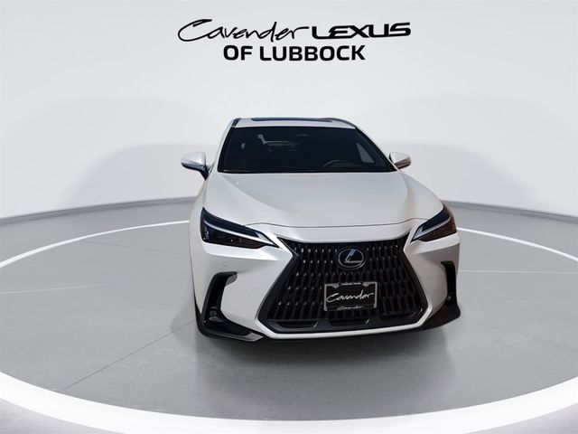 2025 Lexus NX 350h