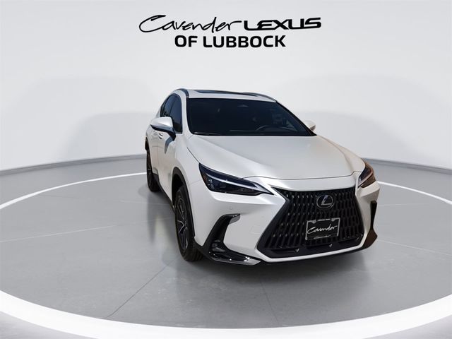 2025 Lexus NX 350h