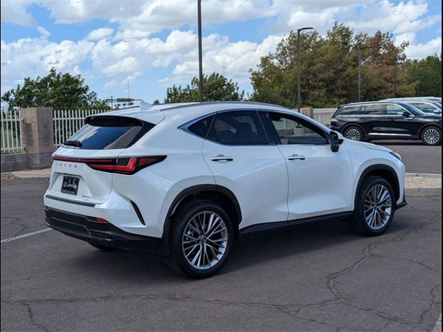 2025 Lexus NX 350h Luxury