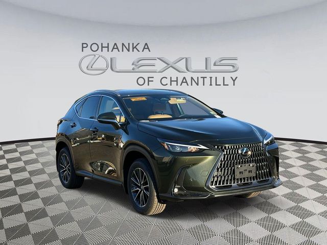 2025 Lexus NX 350h