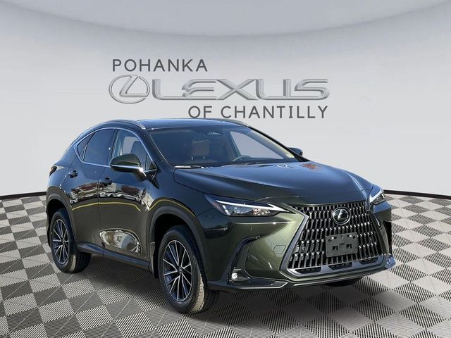 2025 Lexus NX 350h