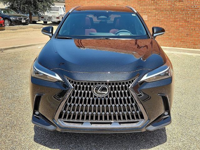 2025 Lexus NX 350h Premium