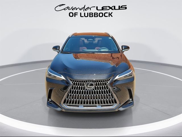 2025 Lexus NX 350h Premium