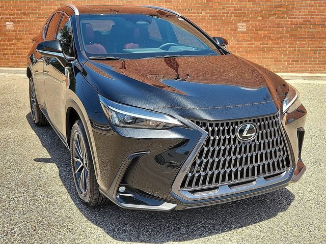 2025 Lexus NX 350h Premium