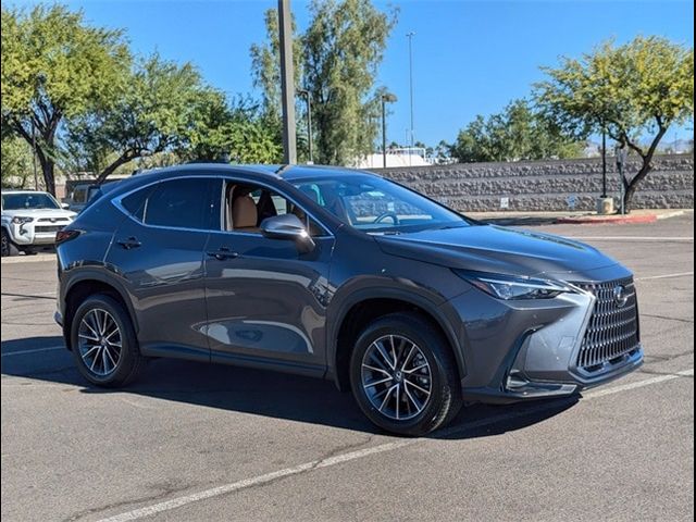 2025 Lexus NX 350h Premium