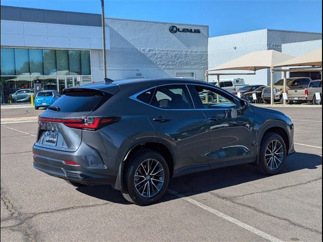 2025 Lexus NX 350h Premium