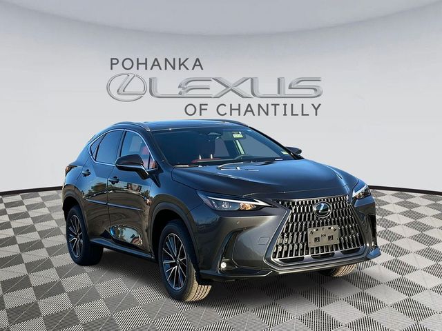 2025 Lexus NX 350h Premium