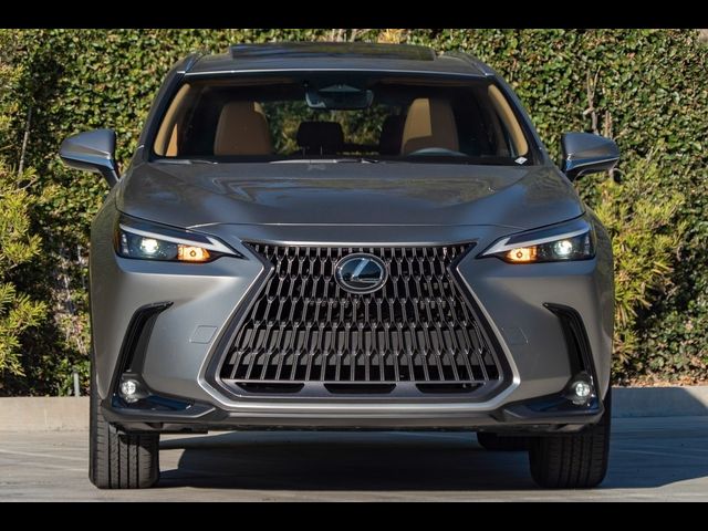 2025 Lexus NX 350h