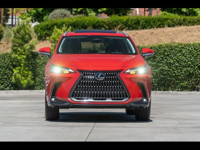 2025 Lexus NX 350h