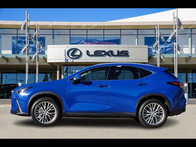 2025 Lexus NX 350h Luxury