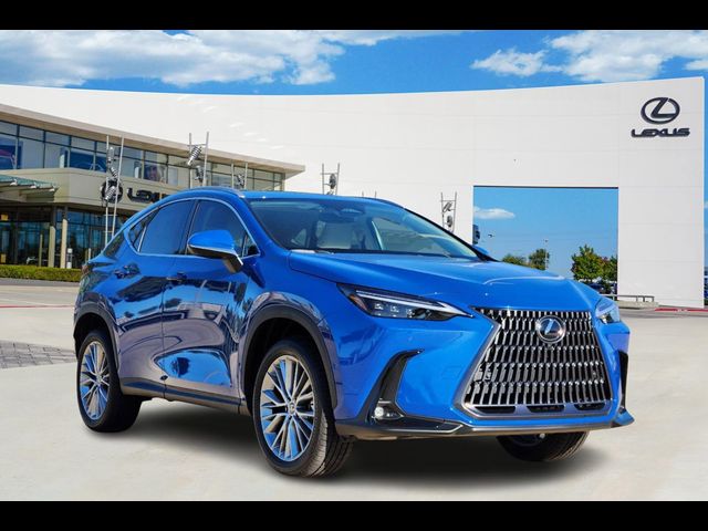 2025 Lexus NX 350h Luxury