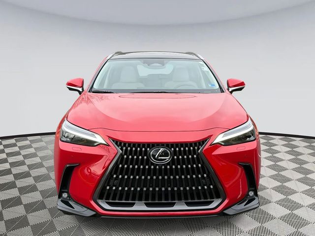 2025 Lexus NX 350h Luxury