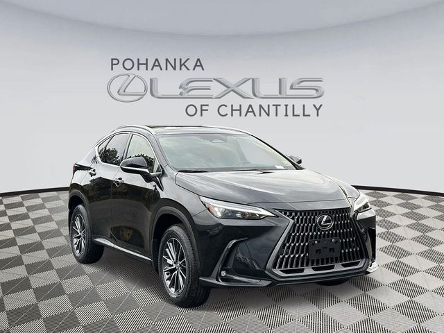 2025 Lexus NX 350h Premium