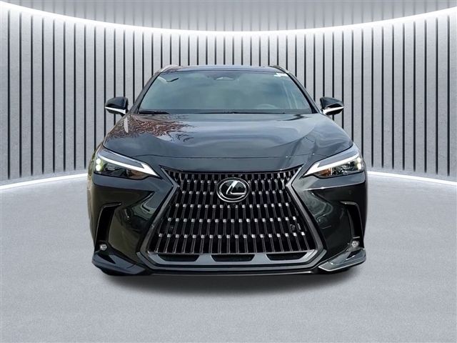 2025 Lexus NX 350h Premium