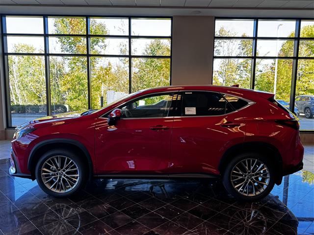 2025 Lexus NX 350h Premium