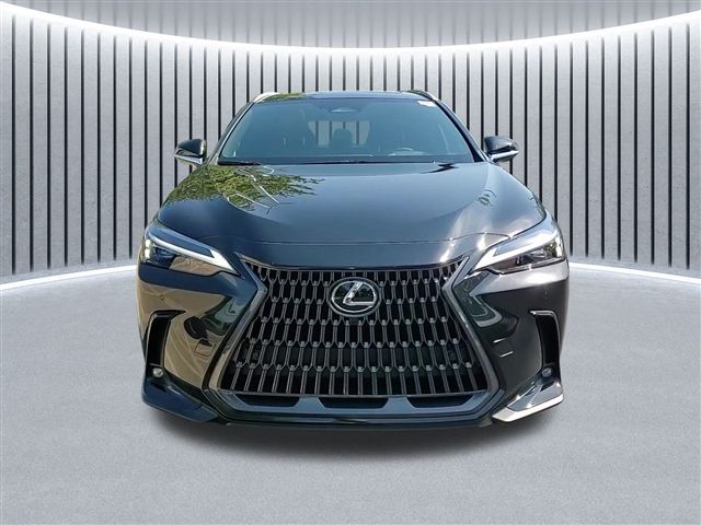 2025 Lexus NX 350h Premium