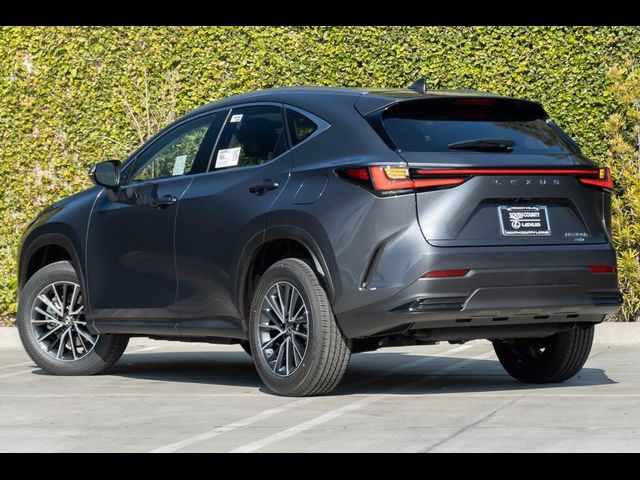 2025 Lexus NX 350h Premium