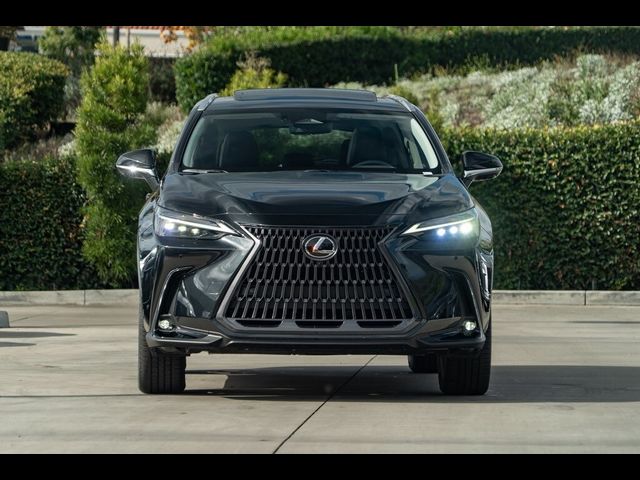 2025 Lexus NX 450h+ Luxury