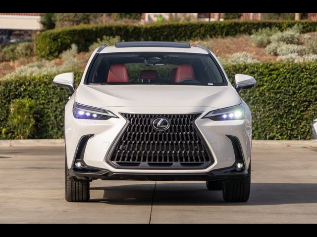 2025 Lexus NX 450h+ Luxury