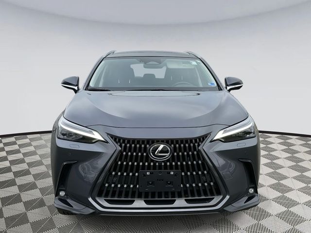 2025 Lexus NX 450h+ Luxury
