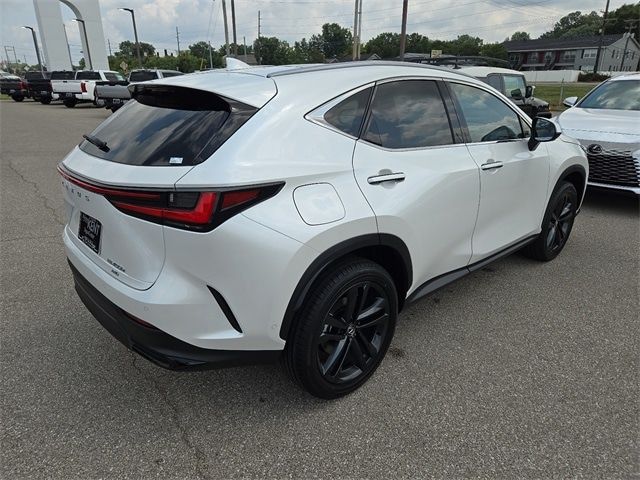 2025 Lexus NX 450h+ Luxury