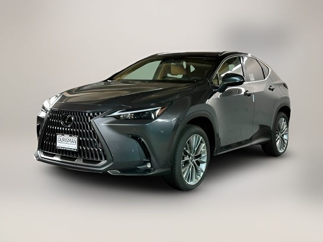 2025 Lexus NX 350h Premium