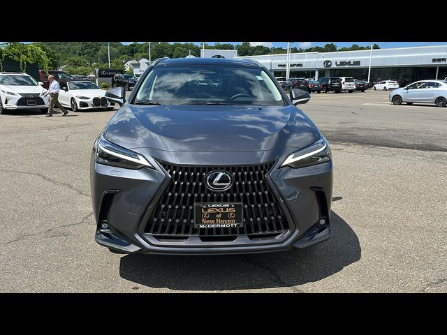 2025 Lexus NX 450h+ Luxury