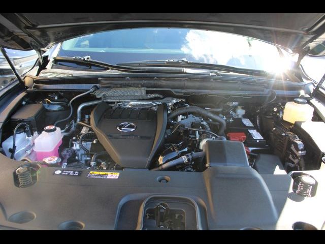 2025 Lexus RX RX 350 Premium