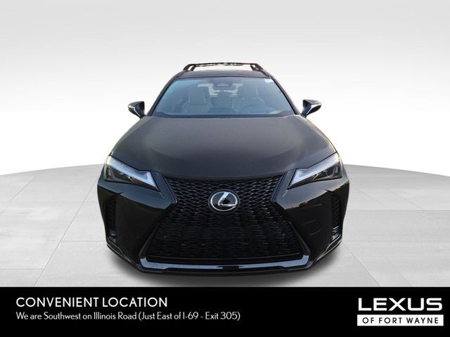 2025 Lexus UX UX 300h