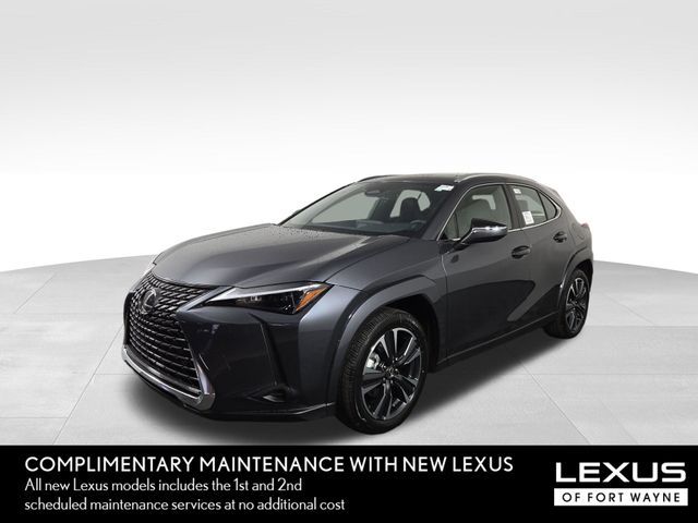 2025 Lexus UX UX 300h