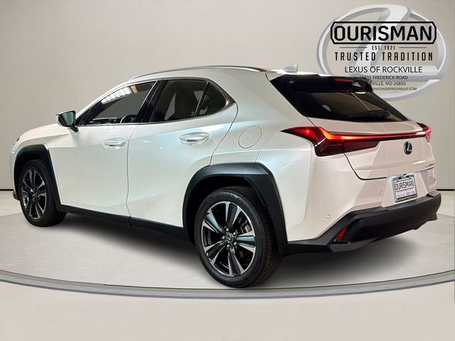 2025 Lexus UX UX 300h