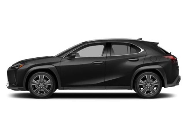 2025 Lexus UX UX 300h