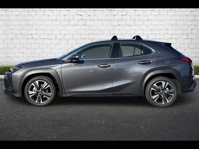 2025 Lexus UX UX 300h