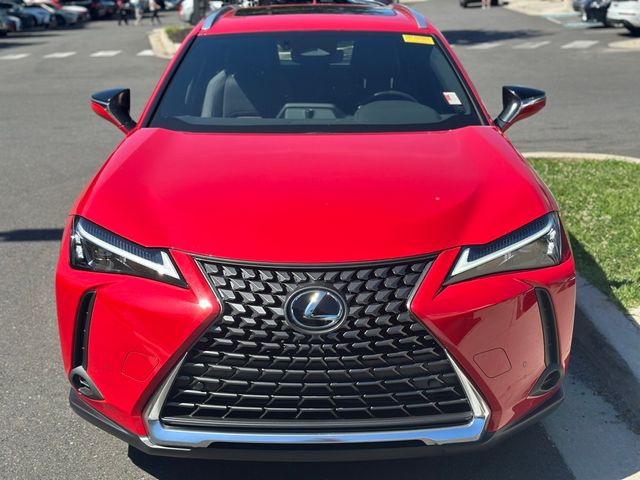2025 Lexus UX UX 300h