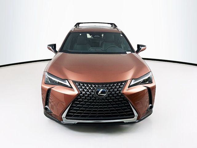 2025 Lexus UX UX 300h