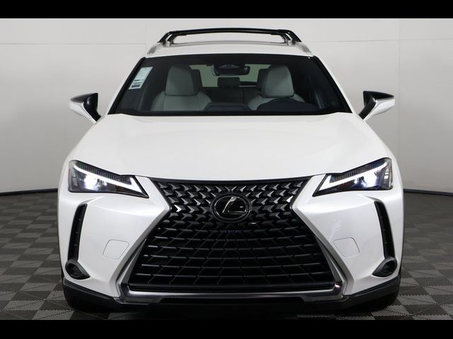 2025 Lexus UX UX 300h