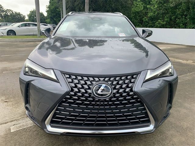 2025 Lexus UX UX 300h