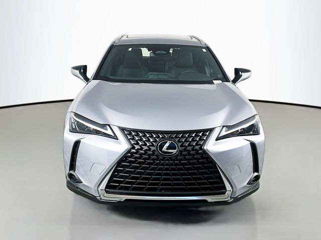 2025 Lexus UX UX 300h