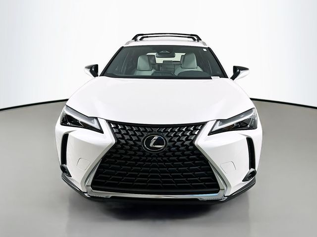 2025 Lexus UX UX 300h