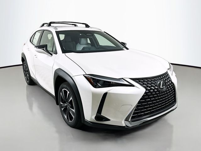 2025 Lexus UX UX 300h