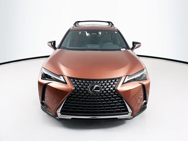 2025 Lexus UX UX 300h