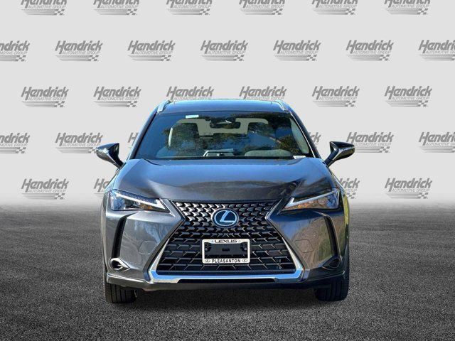 2025 Lexus UX UX 300h