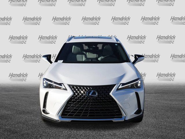 2025 Lexus UX UX 300h