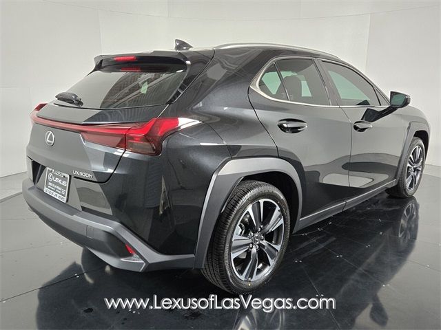 2025 Lexus UX UX 300h