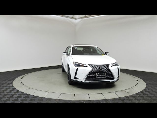 2025 Lexus UX UX 300h Premium