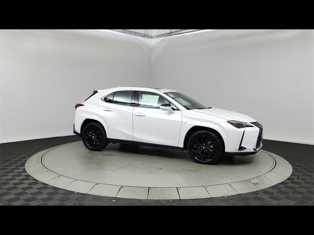 2025 Lexus UX UX 300h Premium