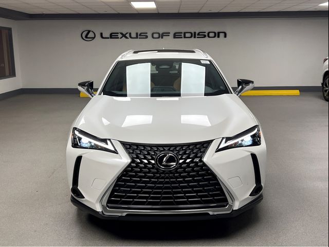 2025 Lexus UX UX 300h Premium